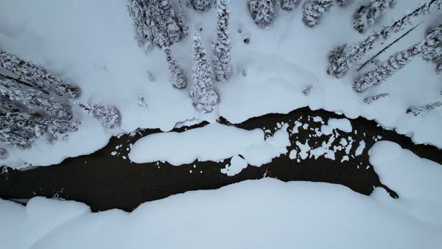 Aerial drone view of river flowing through forest in winter