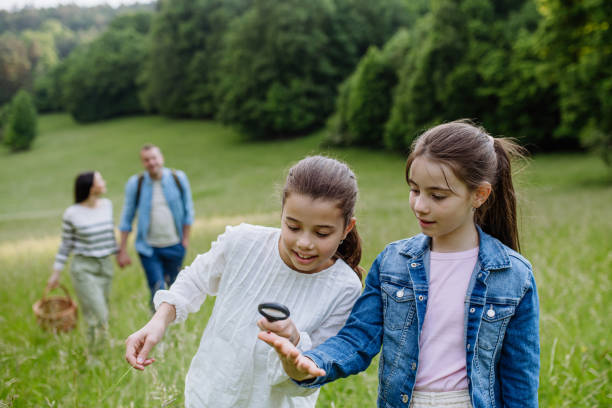 istock Sisters looking at ladybug, insect on meadow, using magnifying glass. Young family on walk during warm spring day. Concept of family bonding. 2015438062