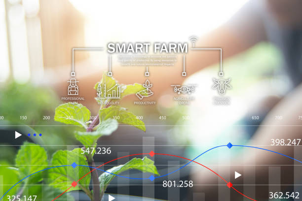 istock Ideas for using AI and smart farming Productivity increase and production control, data storage on the cloud system 2015443910