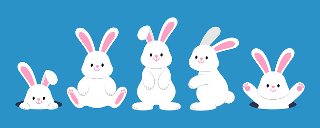 White bunny rabbit character design in cute cartoon style