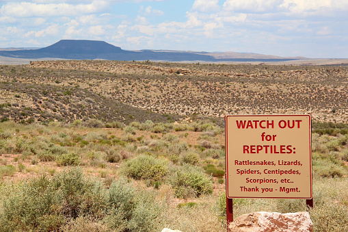 Warning sign in the Arizona desert, beware of rattlesnakes, lizards, spiders, centipedes, scorpions, among others.