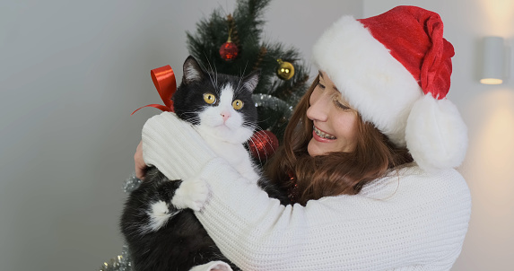 Young woman in a New Year's hat, hugging a gifted cat in front of a decorated Christmas tree. The black and white cat is tied with a red gift ribbon. High quality photo