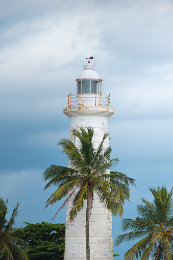Lighthouse in the center beside coconut tree