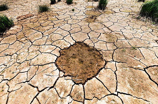 Dry cracked riverbed in Summer heat.