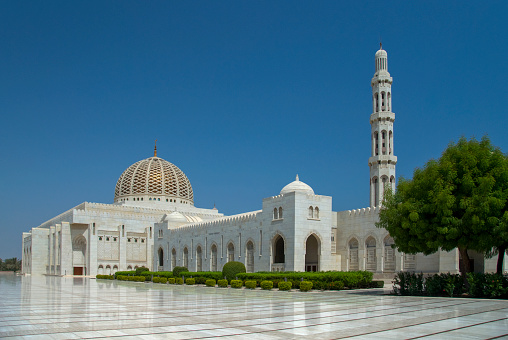 Abu Dhabi, United Arab Emirates - March 26, 2014: Architecture of Sheikh Zayed Grand Mosque in Abu Dhabi, capital of United Arab Emirates.  