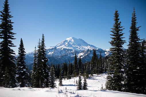 A snow covered landscape in the mountains of the Pacific Northwest, Washington state showing off it's beauty in the Mount Rainier area.  Mount Rainier looms in the distance.