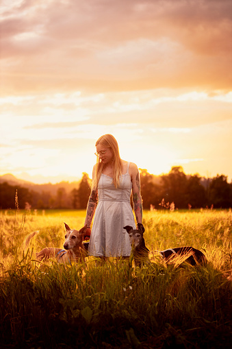 Young woman enjoys sunset with dogs in tall grasses