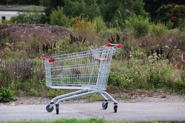 istock A shopping cart out on a stroll by itself 2015630595