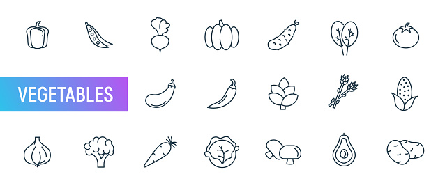 Vegetables food line vector icon. Pepper tomato outline healthy vegetable pictogram. Cucumber garlic broccoli mushroom icon.