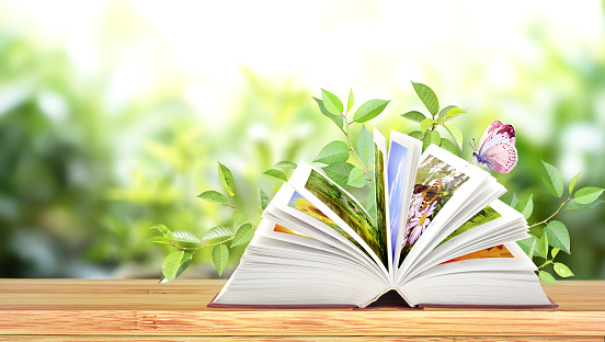 Book of nature. Horizontal banner with book open and butterfly on wood table. Knowledge, education, ecology, go green and zero waste concept. Environmental and conservation protection background