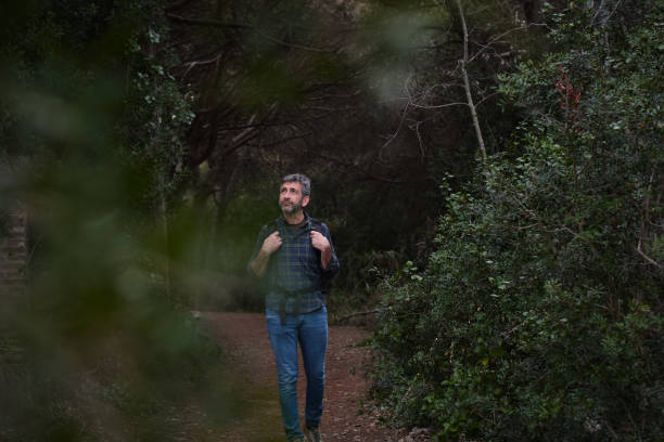 Free Stock Photo of Man Walking Through a Lush Green Forest | Download ...