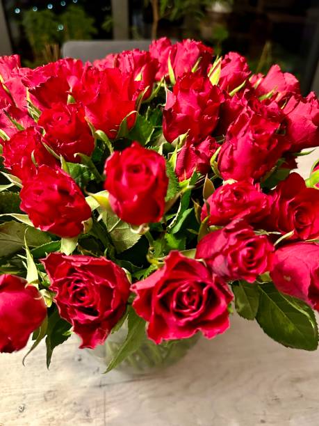 istock Red roses for St Valentines Day 2015820140