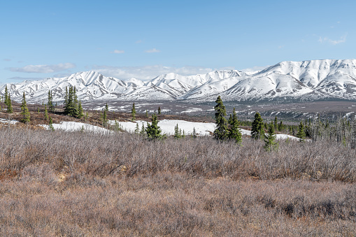 Aerial still image of a snowcapped forest in Clear Creek County, taken by a drone on a cold, Fall morning near Loveland Pass, Dillon, Colorado.