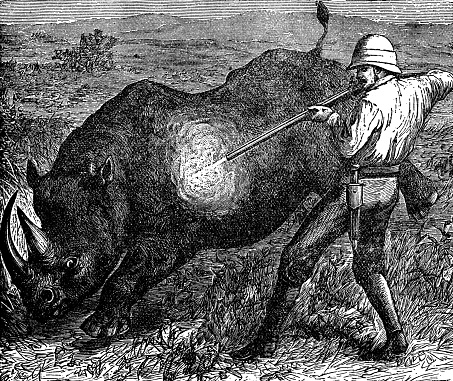 Big game hunter shooting a rhinoceros in Africa. Vintage etching circa 19th century.