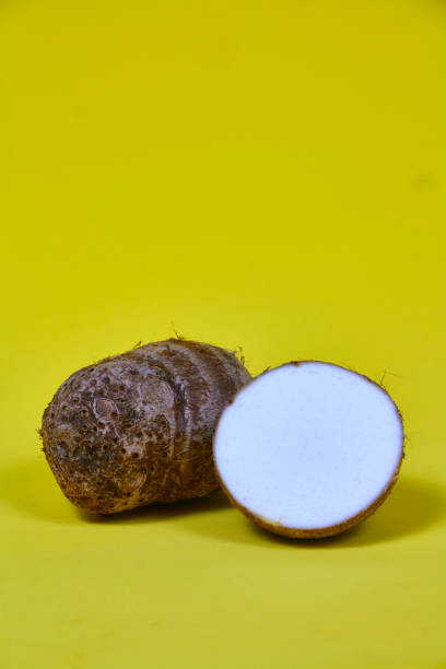 istock closeup of taro root vegetable, eddo malanga, yellow background 2015899401
