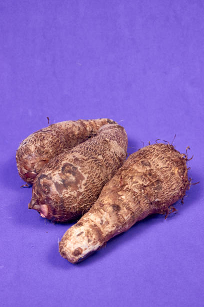 closeup de taro root vegetable, eddo malanga, fundo roxo - chinese eddo - fotografias e filmes do acervo