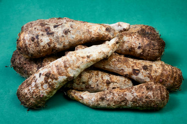 closeup of taro root vegetable, eddo malanga, green background - chinese eddo - fotografias e filmes do acervo