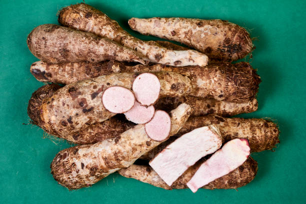 closeup of taro root vegetable, eddo malanga, green background - chinese eddo - fotografias e filmes do acervo