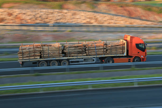 Articulated truck transporting wood on a highway in Spain