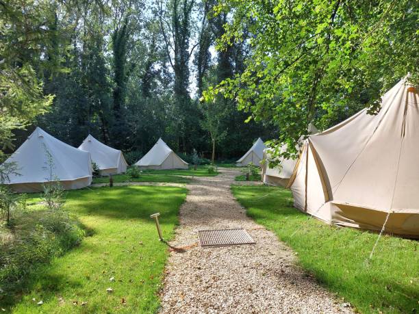 istock fairy tent in the forest 2015941542