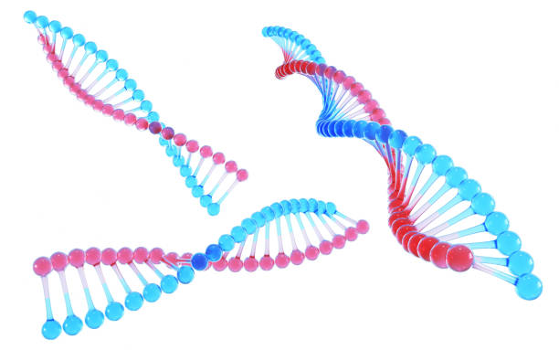istock DNA Transparent Blue & Red, Science and Medicine Concept, Clipping Path 2015946241