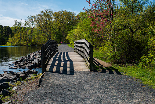 A 50mm photo of a wooden bridge taken in the morning at the Manasquan Reservoir.