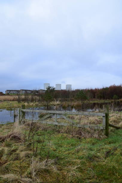 istock St Fitticks Park Aberdeen 2015966947