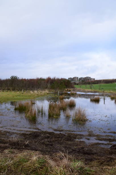 istock St Fitticks Park Aberdeen 2015969124