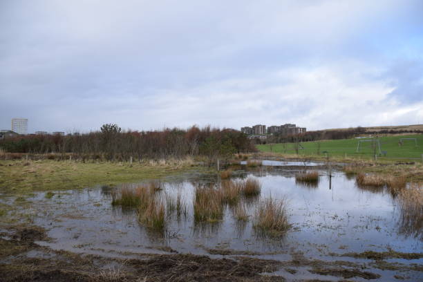 istock St Fitticks Park Aberdeen 2015970223