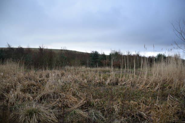istock St Fitticks Park Aberdeen 2015982428