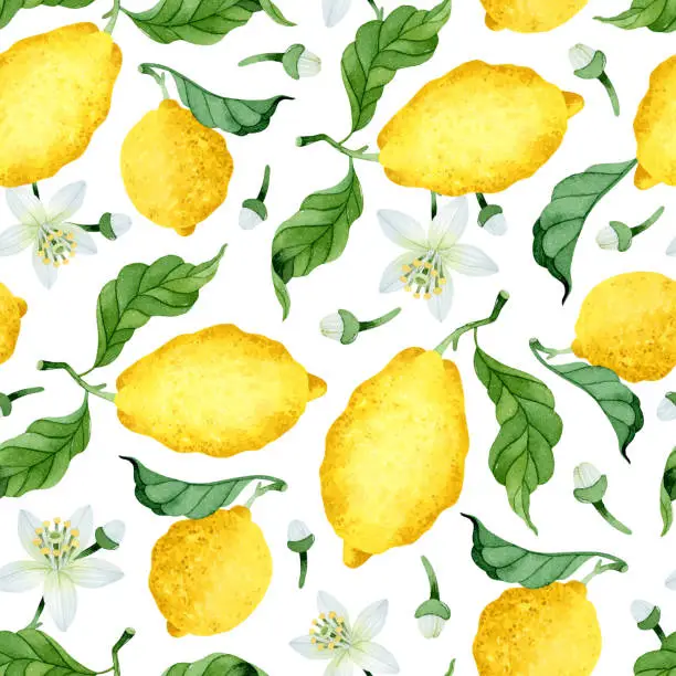 Vector illustration of Watercolor ripen lemons with leaves seamless pattern