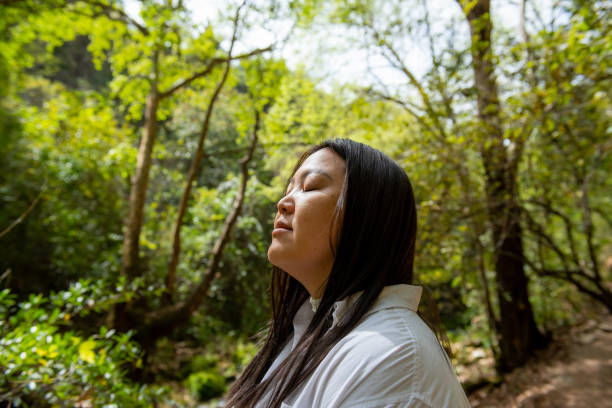 istock Japanese woman feeling nature in the forest 2016000799