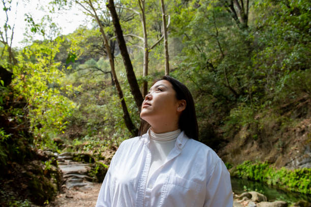 istock Japanese woman feeling nature in the forest 2016003027