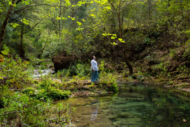 istock Japanese woman feeling nature in the forest 2016004107