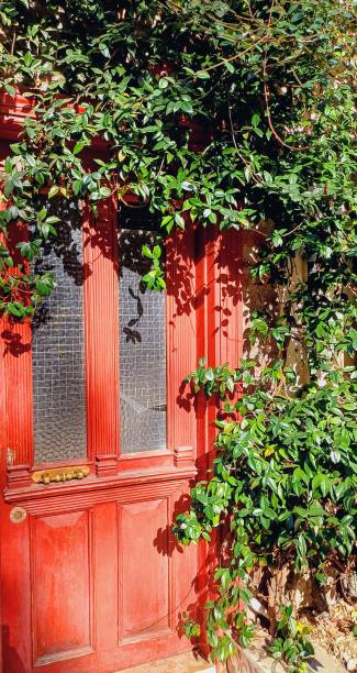 istock Red Wooden door 2016039112