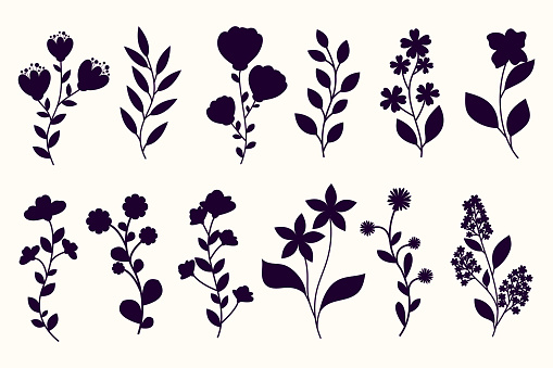 Leaves, flowers and branches silhouettes set. Wild plants and garden flowers silhouettes on white background. Vector illustration