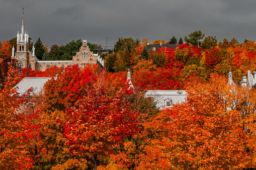 A church and some roofs through the foliage in its autumn colors