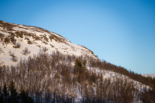 The snow-covered trees in the Appalachian Mountains in the early morning with the fog in the valley. Taken from the top of Round Bald at Roan Mountain. 