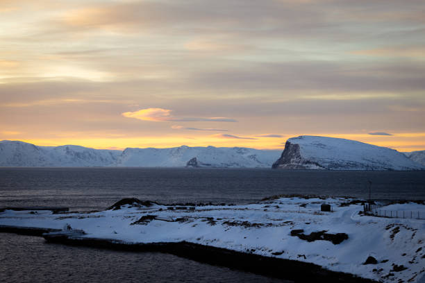 Wintry landscape by the sea in Ekkerøya during the polar night, Norway