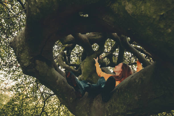 Gorgeous Hispanic young woman beauty model in green dress in a forest with centennial oak trees