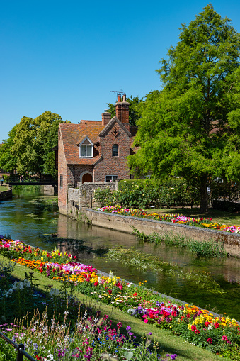 Colorful flower beds and a charming old brick house on the banks of slowly flowing River Stour. Fairytale scenery while exploring picturesque historic town of Canterbury on a beautiful summer day.