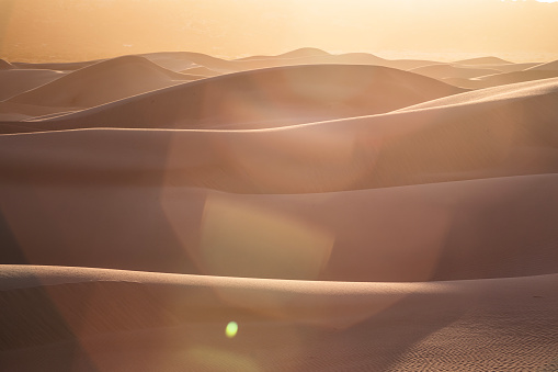 Sunrise casting shadows over over uniquely shaped golden desert sand dunes with lens flare, captured in Western Australia.