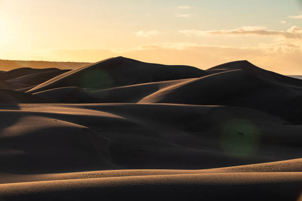 Sunrise casting shadows over over uniquely shaped golden desert sand dunes in Western Australia.