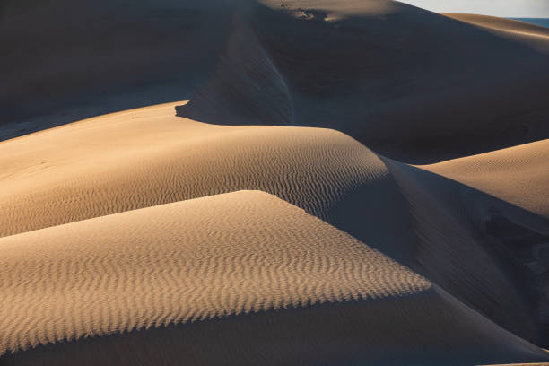 Sunrise casting shadows over over uniquely shaped golden desert sand dunes in Western Australia.