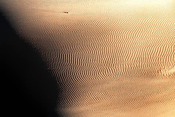 Full frame of sunrise casting shadows over uniquely smooth shaped golden desert sand dunes in Western Australia.