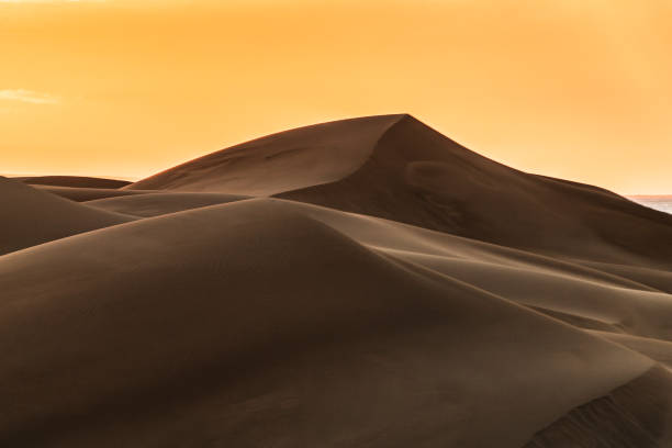 istock Sunrise casting shadows over uniquely shaped golden desert sand dunes 2016264403