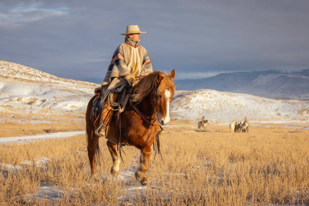 istock Winter Ranch Horse Riding 2016278245