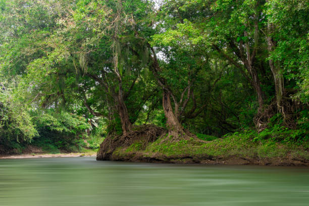 istock Penas Blancas river boat tour 2016295089