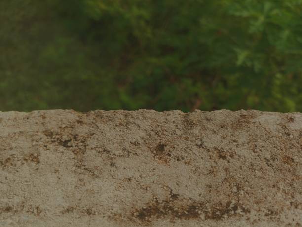 istock Background of aged concrete texture outdoor 2016333495