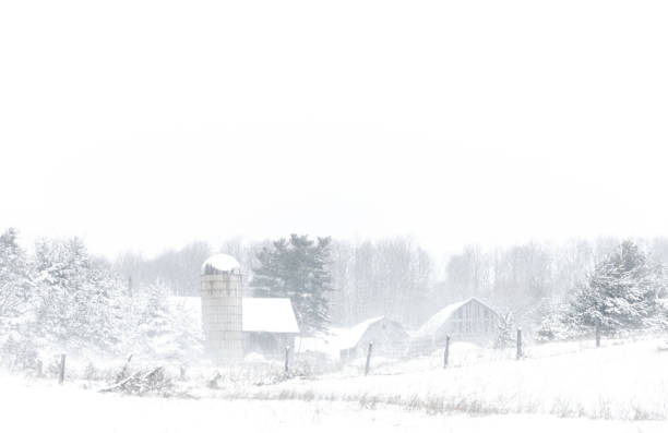Farm in the storm View of an old decrepit farm in a windy snow storm; there two barns and a silo; there are trees in the background; there is a fence in front. snow covers the ground, and the visibility is poor. michigan farmland stock pictures, royalty-free photos & images